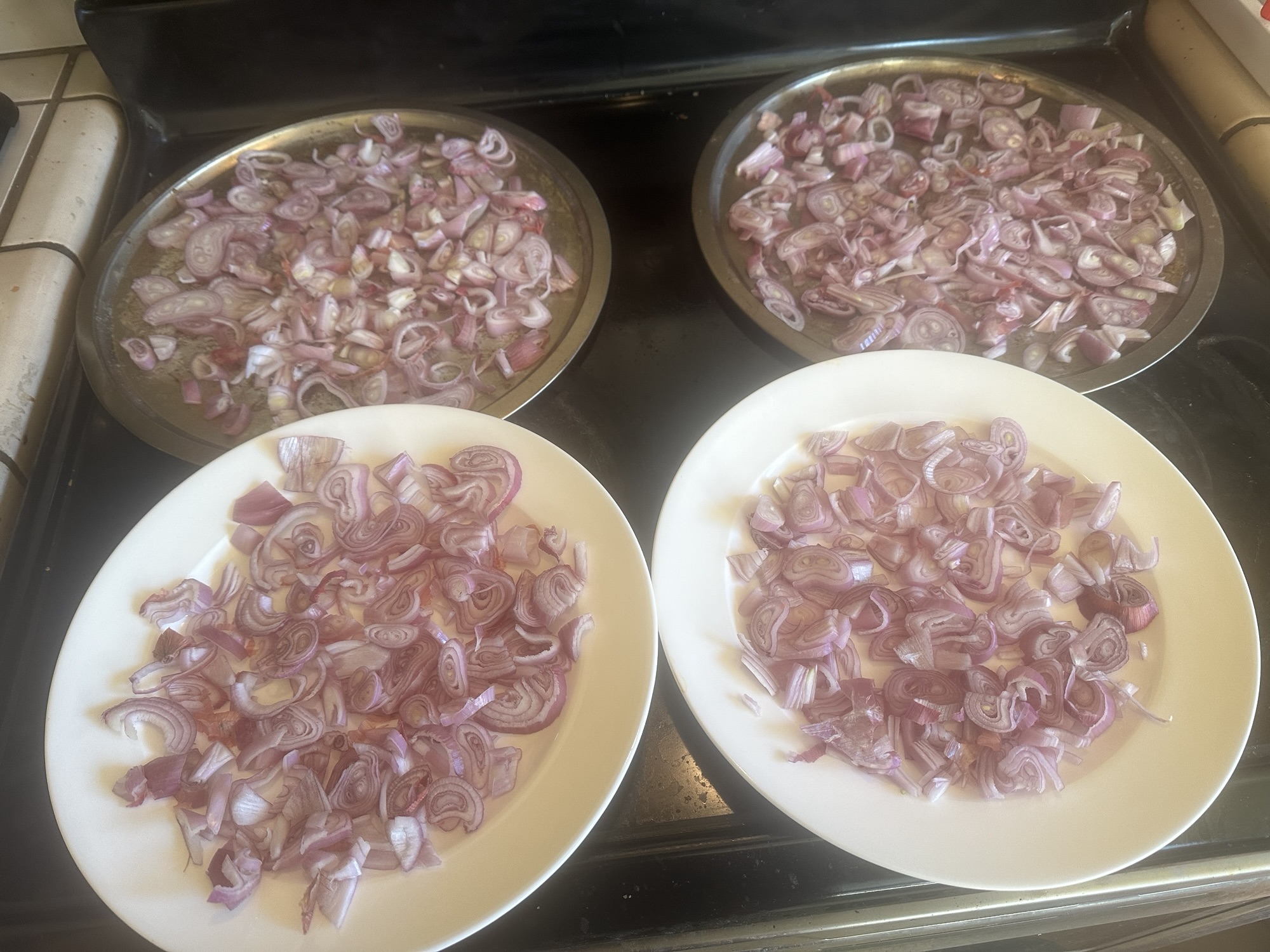 Sliced shallots air-drying on plates and trays