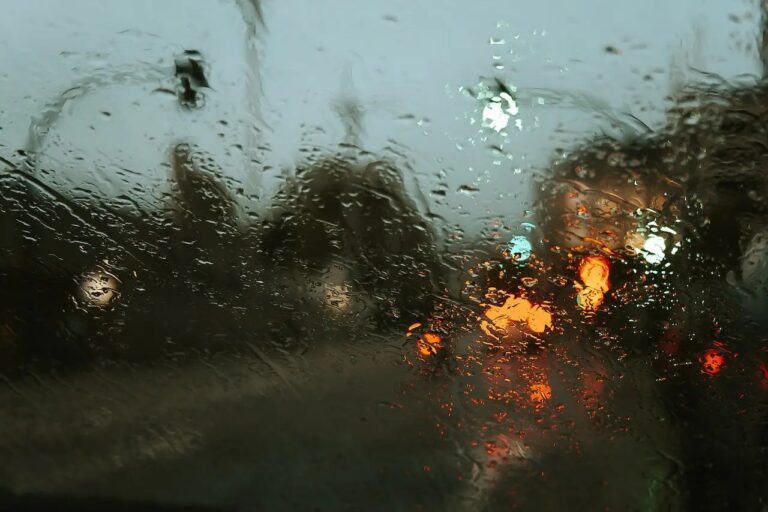 The Rain Is Coming Back — 雨要回來了